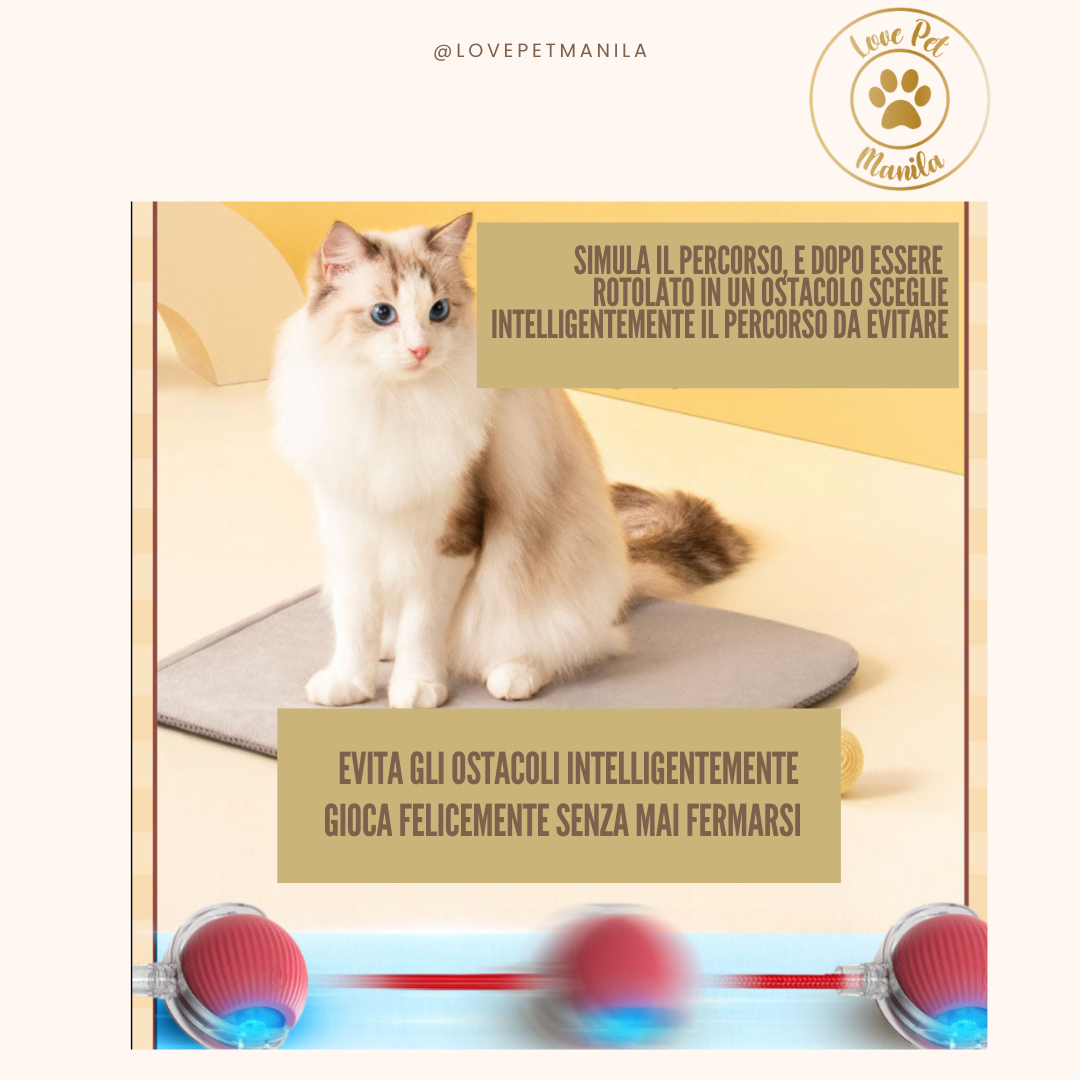 Love Pet Manila Ball