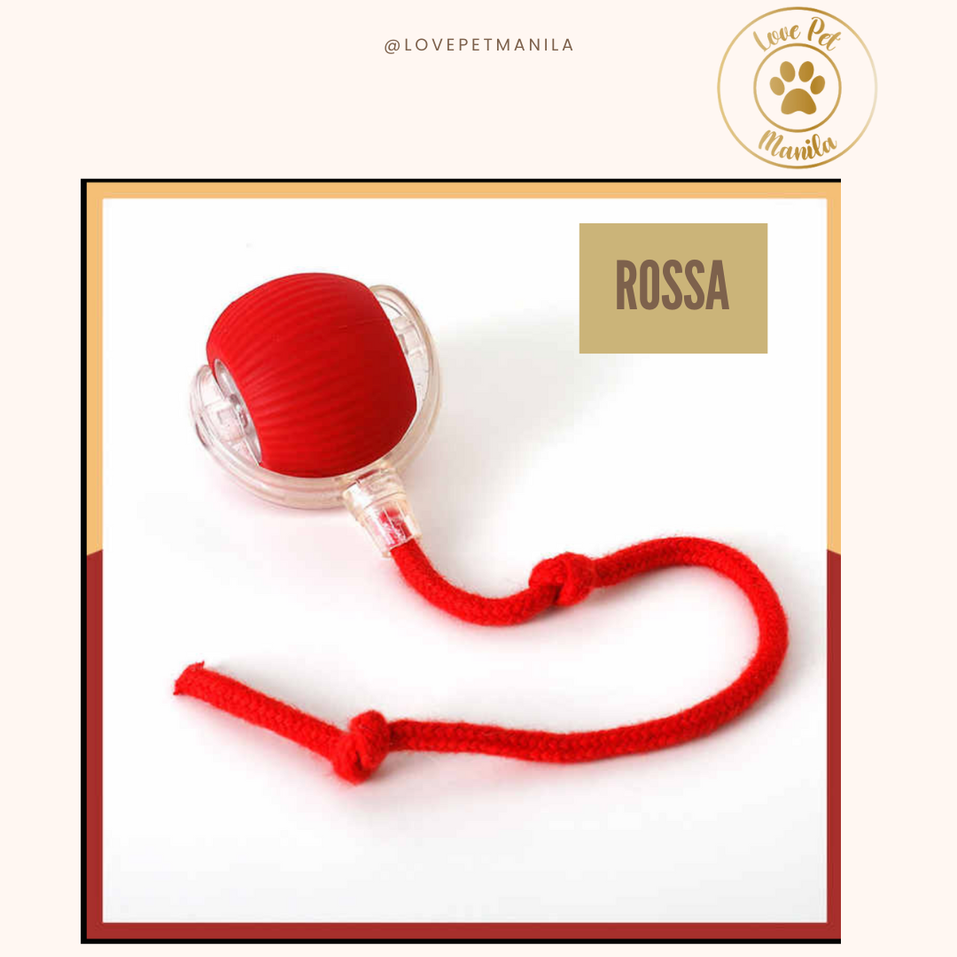 Love Pet Manila Ball