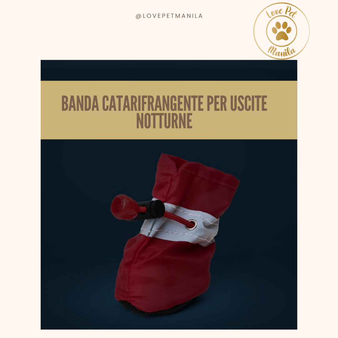 Love Pet Manila Shoes