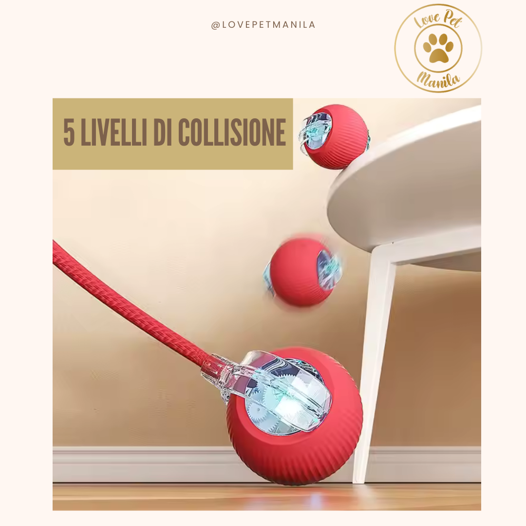 Love Pet Manila Ball