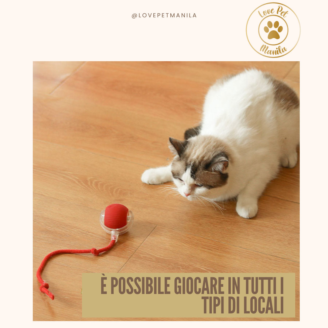 Love Pet Manila Ball