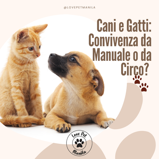 Cani e Gatti: Convivenza da Manuale o da Circo? Scopri Come Trasformare il Duo in una Squadra!"🐾