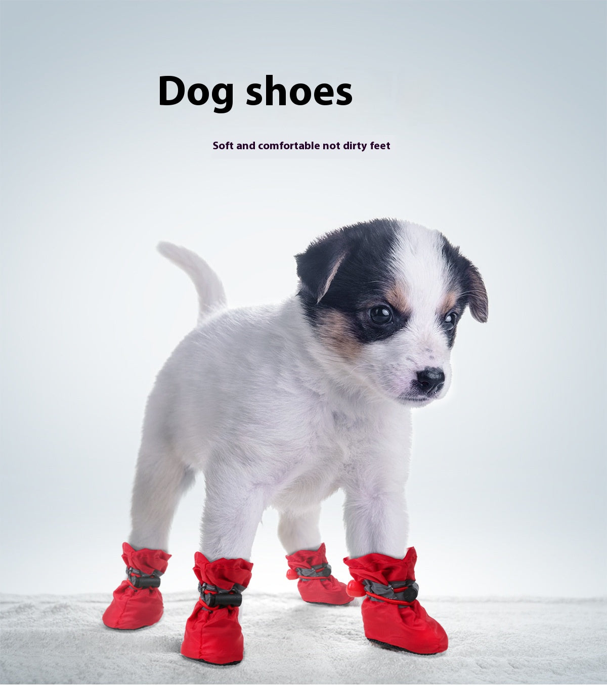 Love Pet Manila Shoes